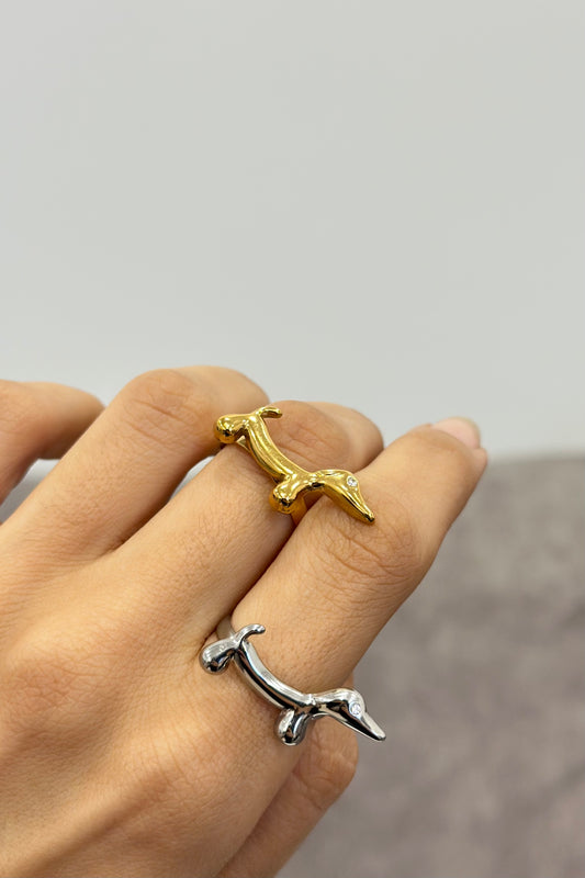 Dach ring