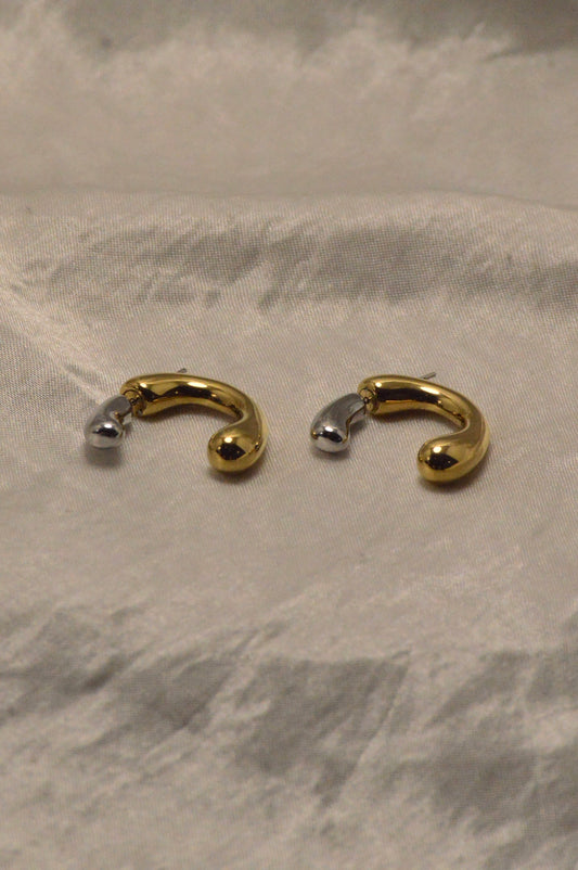 Dual Tone Earrings