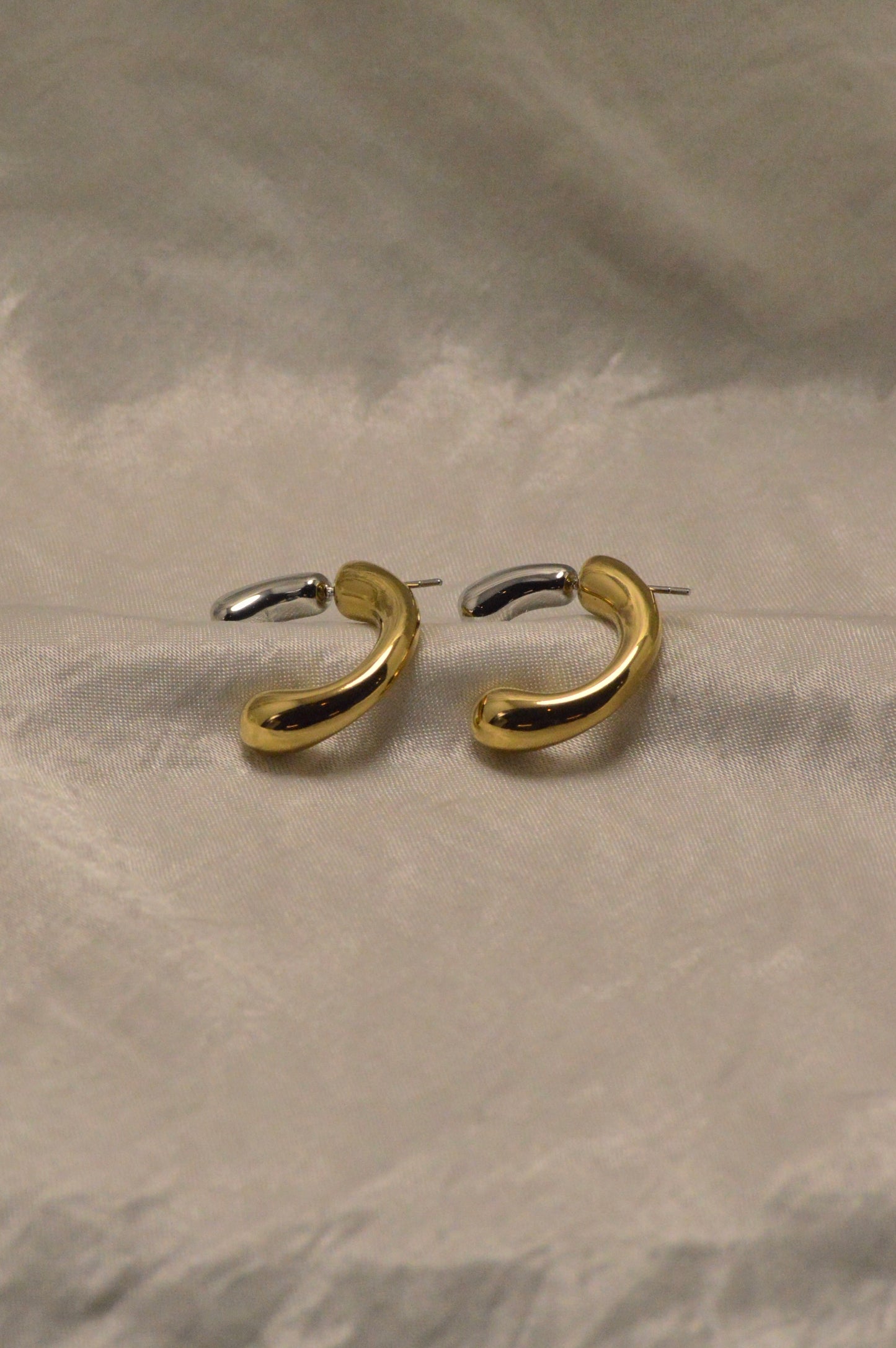 Dual Tone Earrings
