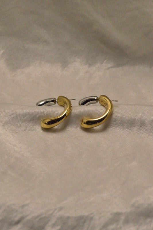 Dual Tone Earrings